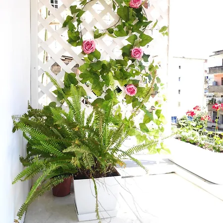 Apartment Te Amantia