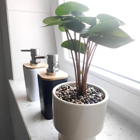 아파트 Te Amantia *